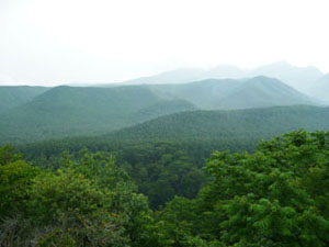 八ヶ岳高原