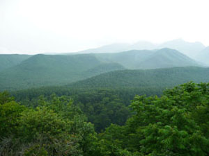 八ヶ岳高原