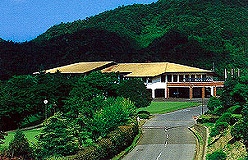 皆川城