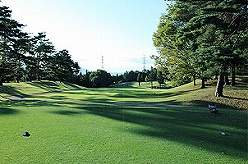 岡部チサン美里